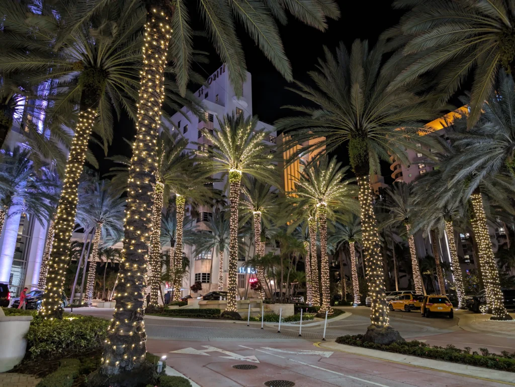 Palmen mit Lichterketten bei Nacht entlang des Ocean Drive in Miami