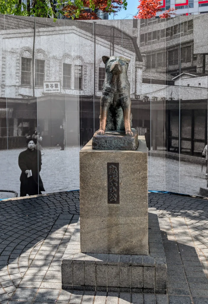 Die berühmte Hachiko Statue vor dem Bahnhof Shibuya in Tokio